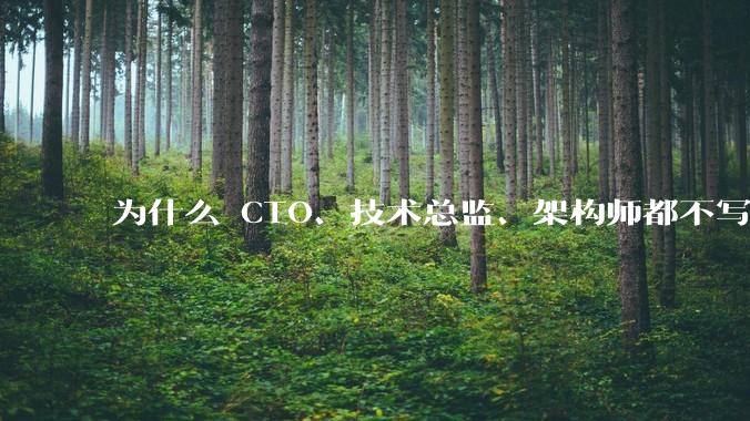 为什么 CTO、技术总监、架构师都不写代码还这么厉害？