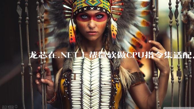 龙芯在.NET上帮微软做CPU指令集适配，为什么到国内.NET开发者这里成了维护龙芯.NET版本?